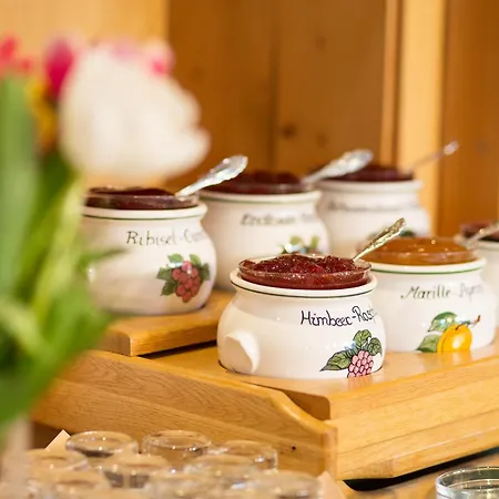 Holzerhof Aparthotel Schladming