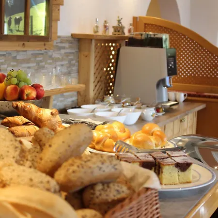 Holzerhof 3* Schladming