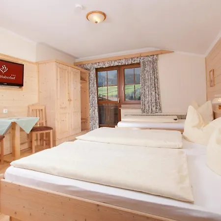 Holzerhof Schladming