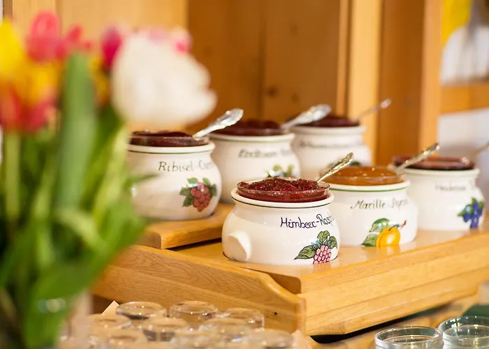 Holzerhof Ξενοδοχείο με διαμερίσματα Schladming