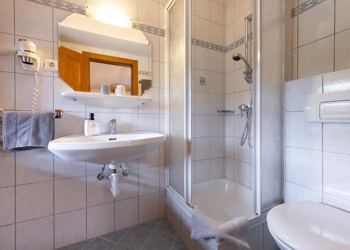 Holzerhof Appart hôtel Schladming